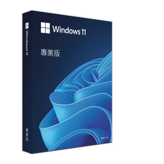 Windows 11 專業版